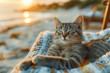 Cat on a sun lounger on the beach, experiencing the joy of the seaside, carefree relaxation.