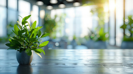 Blurred office interior background with panoramic windows and light from the window with green plant. Blurred office space with a business concept banner template 