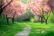 Blossoming pink cherry trees on a path