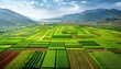 Scenic aerial view of lush rural landscape with green fields and agricultural farmland