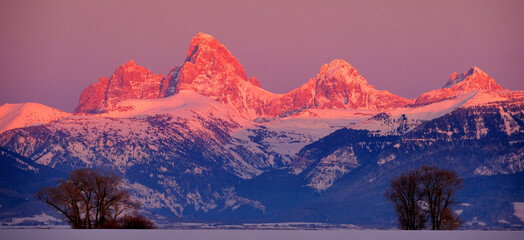 Teton Mountain Range Idaho Side Sunset Alpen Glow in Winter Blue Sky and Forest