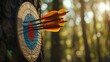 An archery bow and arrows with a target in an outdoor setting