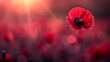A red poppy flower is the main focus of the image. The flower is surrounded by a blurry background, which gives the impression of a dreamy, ethereal atmosphere