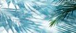 Tropical Palm Shadows on Pastel Blue
