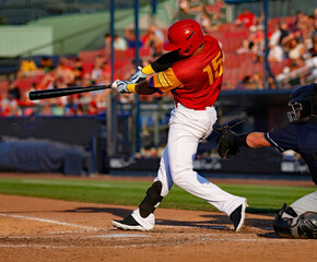 Wall Mural - baseball player #15