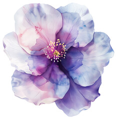 pastel watercolor flower print