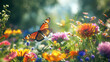 butterfly on a colorful flowers in the field on summer, amazing flower garden , blue sky