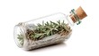 Dry rosemary in plastic bottle isolated on white background