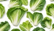 Fresh chinese cabbage leaf isolated on white background ,Green leaves pattern