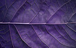 purple leaf texture, leaf background with veins and cells background illustration. generative ai
