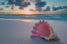 Azure Sky And Water As A Sea Shell Rests On The Calm Beach At Sunset