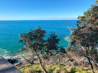 Australian trees and landscape over the ocean