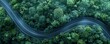 Aerial view of a winding road through a dense green forest. Environmental conservation and travel concept.