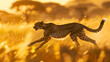 Agile cheetah sprinting across sunlit African plains
