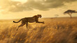 Cheetah sprinting across the Serengeti plains