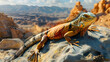 Curious iguana basking on sun-warmed rock in arid desert