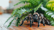Tarantula in modern apartment, arachnophobia concept