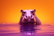 a hippo in water with orange background