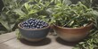 Blueberries organic fruit natural weight loss healthy
