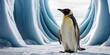   Penguin in ice cave, head facing outside
