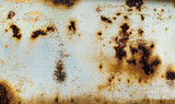 Fototapeta Tulipany - Rusty metal background for overlay o texture