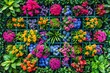 A variety of vibrant flowers have been artfully arranged and attached to a wall, creating a beautiful tapestry of colors and textures