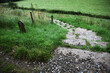 Along the Hadrian's wall between Brampton - Wallton and Gilsland - Cumbria - Northumberland - England - UK