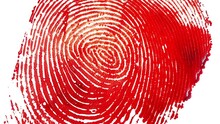 Bloody Fingerprint With A White Background. Concept Of Personal Identification. Animation With Zoom And Rotation Effects. High Quality 4k Footage