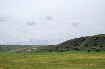 Wall Mural - green meadow in spring against the background of mountains with a cloudy sky