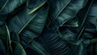 © BHZshop - Leaves texture background, elegant tropical banana leaf details, nature wallpaper