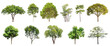 A collection of different types of trees on a png transparent background.