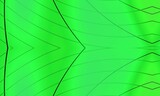 Fototapeta Abstrakcje - leaf nature green plant texture pattern macro leaves closeup wallpaper light tree foliage autumn detail banana fresh natural color spring summer closeup design backdrop backgrounds