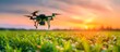 Smart farm agriculture concept.Farmer use ai drone to monitor prediction forecast check of plant field.