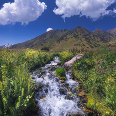 Wall Mural - Mountain stream with cascades of waterfalls among grasses in summer in Koksai gorge in Aksu-Zhabagly Nature Reserve in Kazakhstan