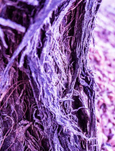 Abstract Purple Bark