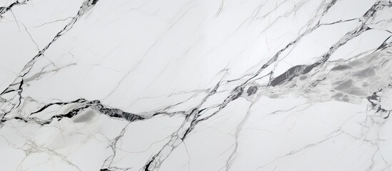 Poster - A closeup of a snowy winter landscape with a white marble texture featuring freezing black veins resembling a twig fence along the slope