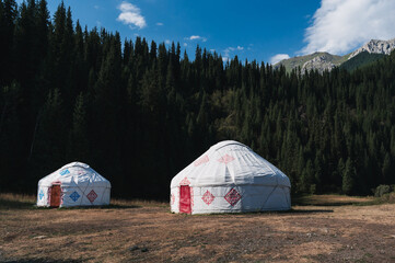 Wall Mural - traditional houses of Asian nomads yurts in a field near a spruce forest in summer in the Tien Shan mountains in Kazakhstan