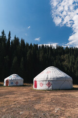 Wall Mural - traditional houses of Asian nomads yurts in a field near a spruce forest in summer in the Tien Shan mountains in Kazakhstan