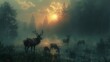 Deer grazing in foggy field at sunset creates a picturesque painting