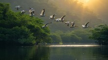 A Flock Of Seabirds Soar Over The River, Blending Into The Natural Landscape