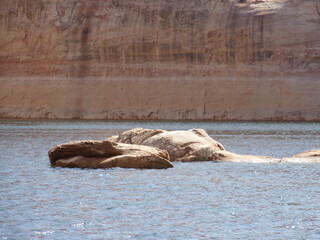 Canvas Print - Lake Powell Arizona