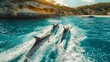 Three dolphins swim leisurely in the fluid water alongside a boat