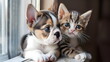 Katze und Hund auf dem Fensterbrett / Haustier Freunde / Kätzchen und Welpe Poster / Ki-Ai generiert