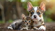 Hund und Katze ruhen sich aus / Haustier Wallpaper / Katze und Hund Poster / Ai-Ki generiert
