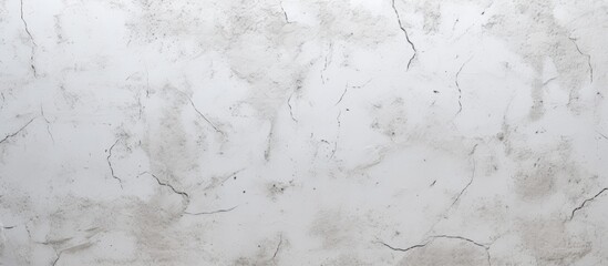 Wall Mural - A closeup of a white marble texture resembling a monochrome winter scene, with intricate patterns similar to wood grain and twigs covered in freezing snow