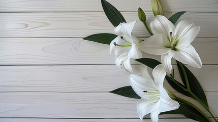 Wall Mural - Funeral lily on white background providing generous space for meaningful text placement