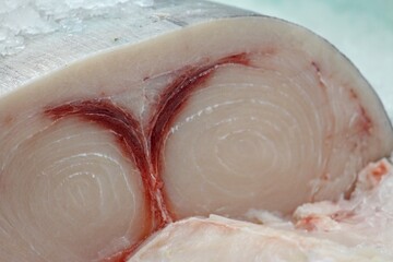 a piece of swordfish meat