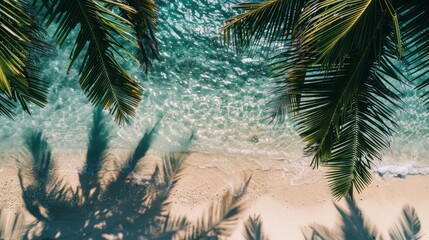 Wall Mural - Coastal Elegance. Aerial view of tropical palm leaf shadows on clear waters, evoking relaxation and escape. Captivating beach vacation essence.