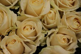 Fototapeta Kwiaty - Group of white roses, wedding decorations