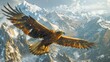Bird of prey Accipitridae, the golden eagle, soars over snowy mountain range